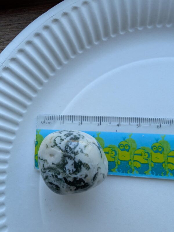 Tree Agate Large Tumbled Stone - Image 2