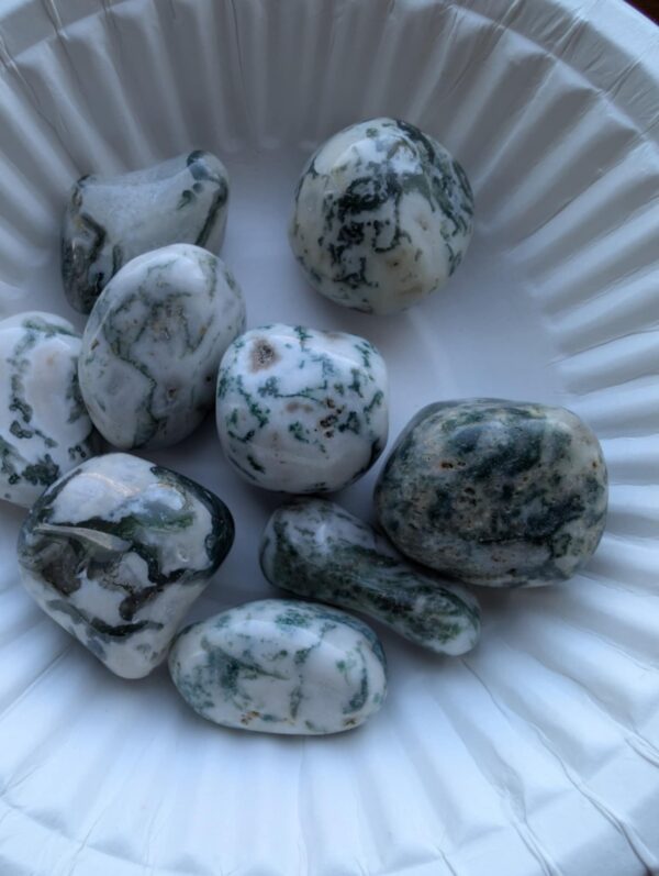 Tree Agate Large Tumbled Stone - Image 5