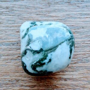 Tree Agate Large Tumbled Stone