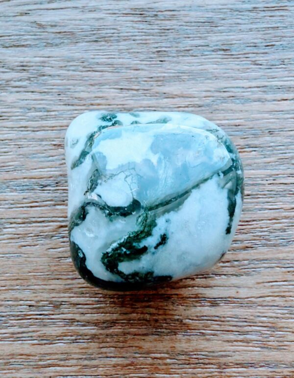 Tree Agate Large Tumbled Stone