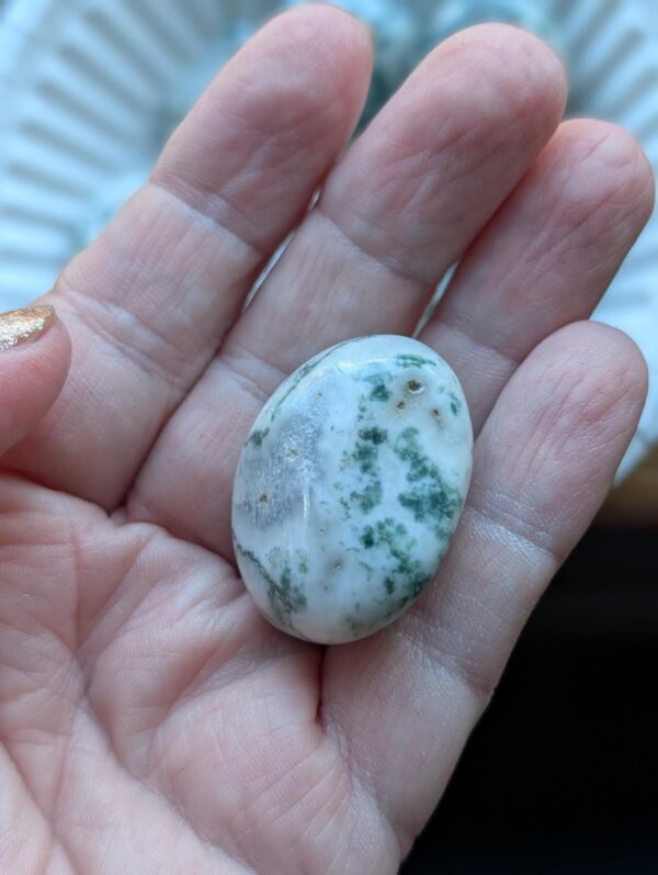 Tree Agate Large Tumbled Stone - Image 4