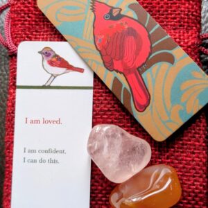 Confidence Kit (Back to School/Uni)